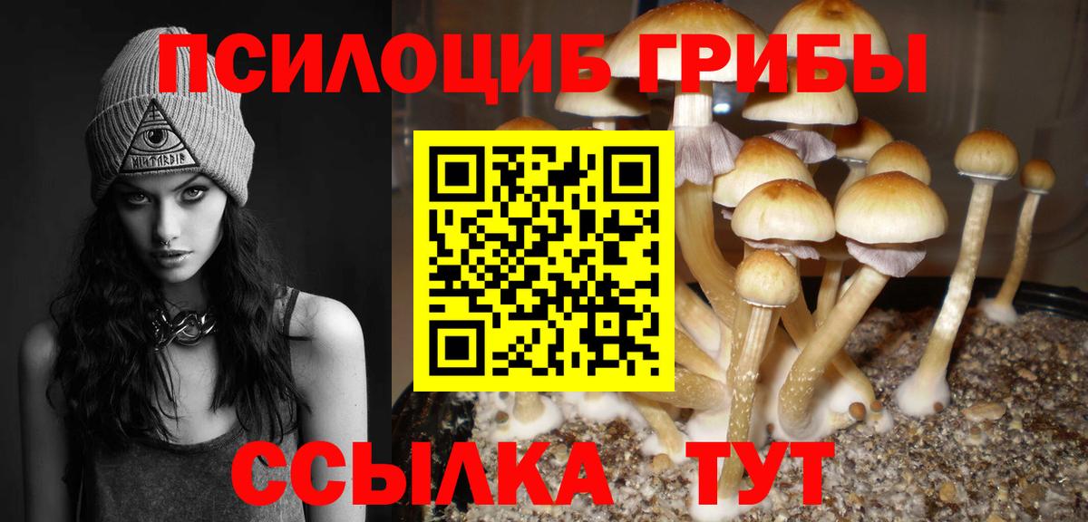 Ейск  Псилоцибиновые грибы Psilocybe  Вход с VPN 