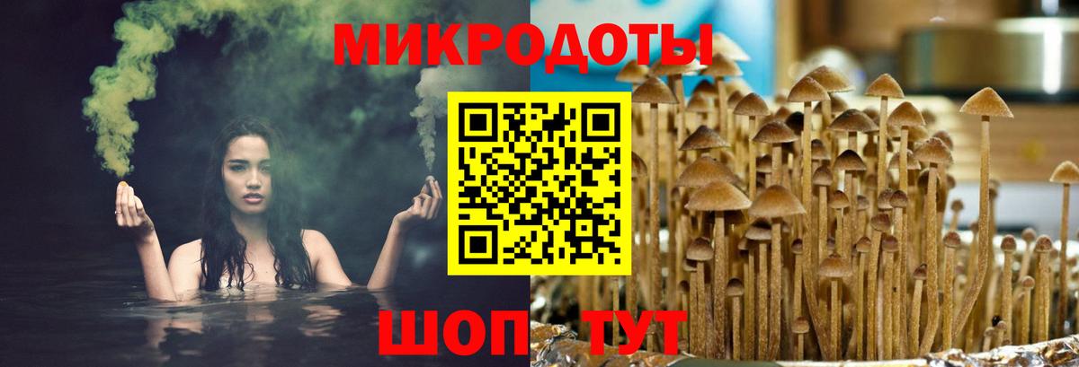 Псилоцибиновые грибы MAGIC MUSHROOMS Ейск